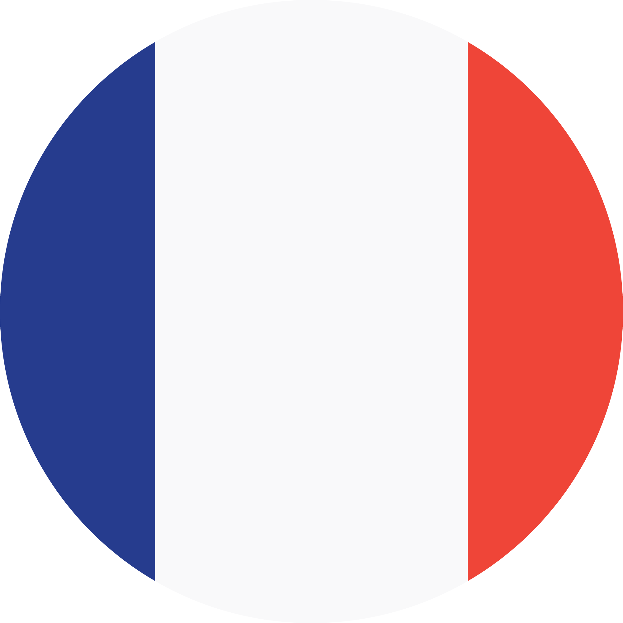 french flag